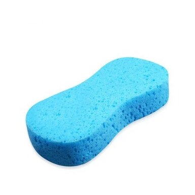 Sponge Sponge